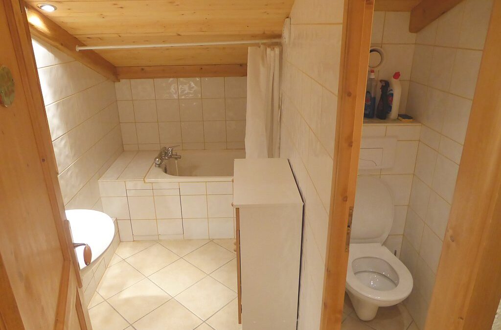 Badkamer en toilet van appartement Souche 23